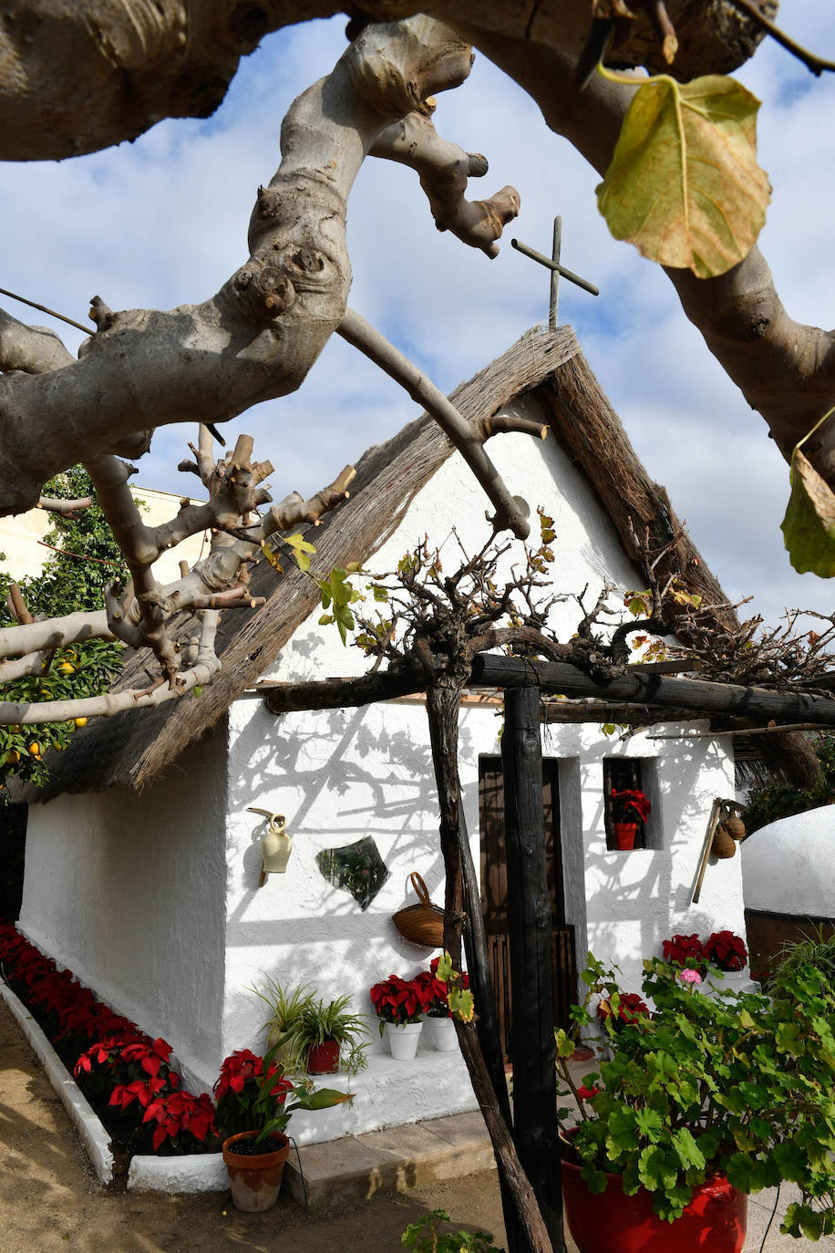 Fotos: Las peñas restauran su barraca en Murcia