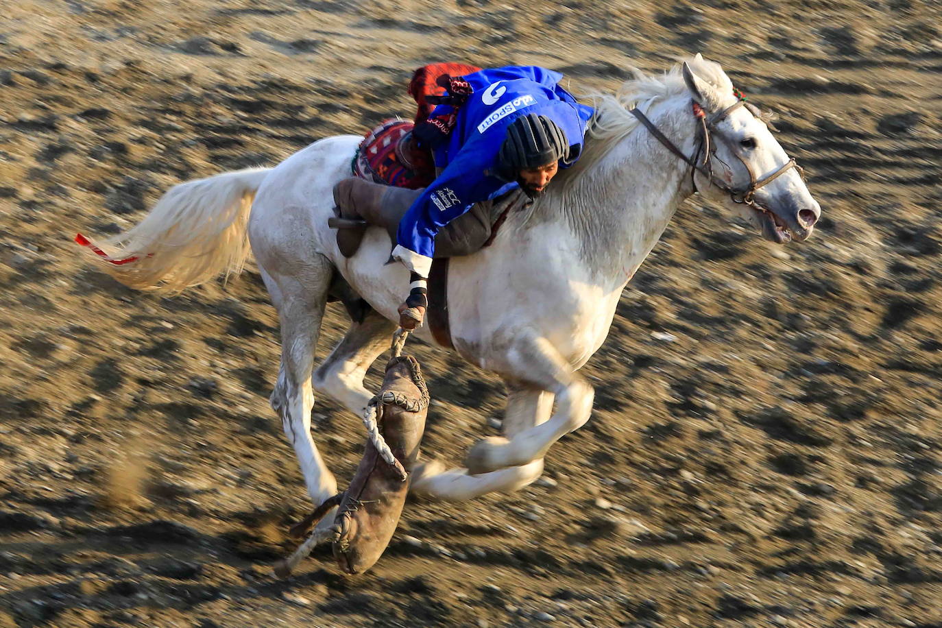Fotos: Torneo Buzkashi en Kabul