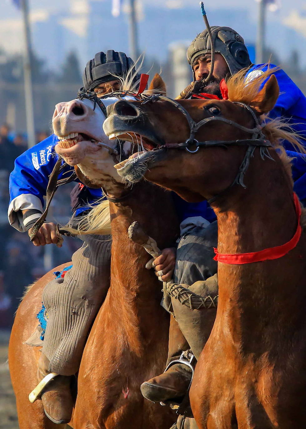 Fotos: Torneo Buzkashi en Kabul