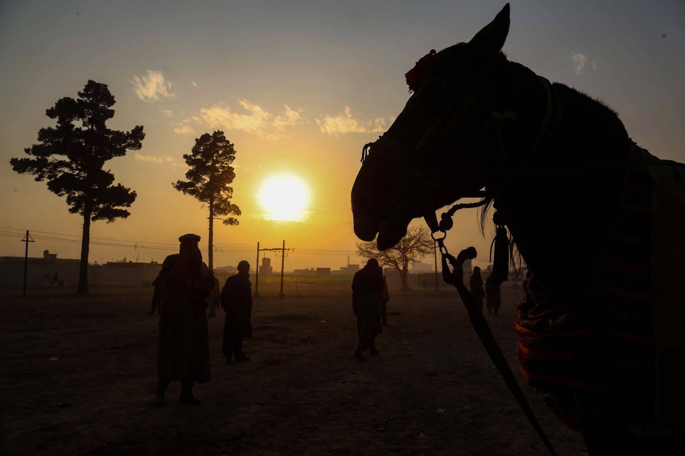 Fotos: Torneo Buzkashi en Kabul