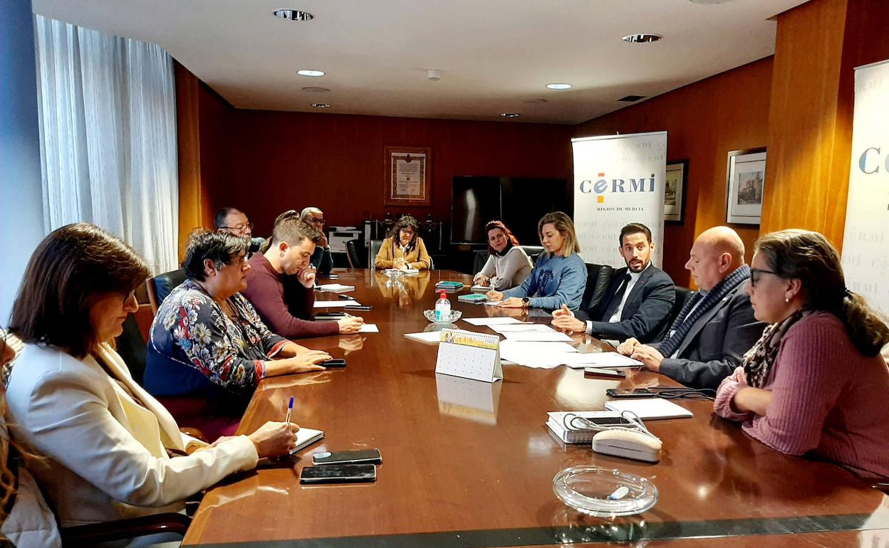 El director general de Vivienda, José Francisco Lajara, presenta la nueva convocatoria de ayudas de accesibilidad al presidente del Cermi, Pedro Martínez, y representantes de FAMDIF, Plena Inclusión, Astrapace, Fadis y Federación de Salud Mental.
