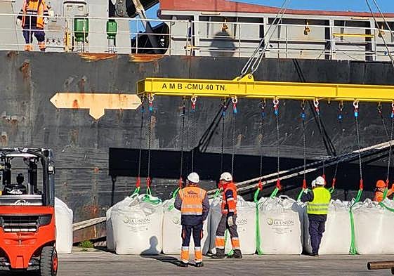 Tres operarios, en el muelle de Santa Lucía, ayer, descargado sacos de azúcar.