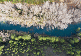 Las imágenes más impactantes de la naturaleza en la Región de Murcia