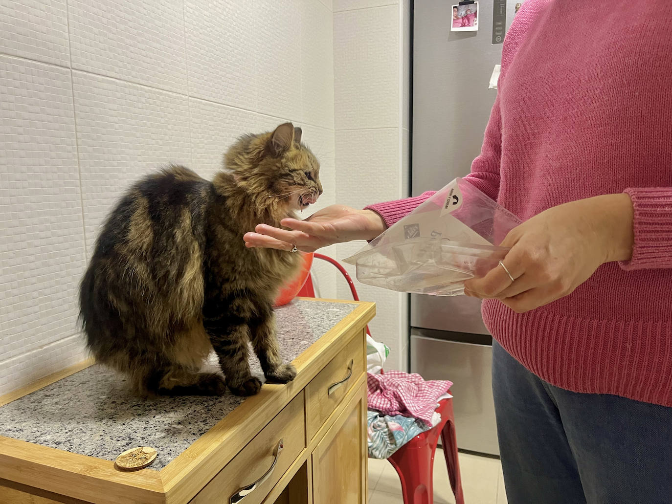 El reencuentro entre &#039;Pipa&#039; y su dueña tras 13 meses en paradero desconocido