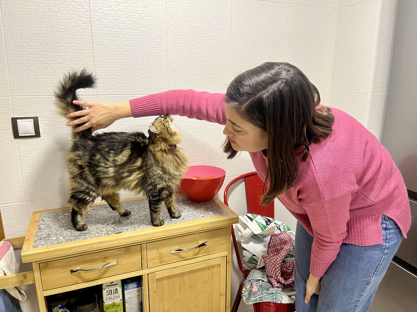 El reencuentro entre &#039;Pipa&#039; y su dueña tras 13 meses en paradero desconocido