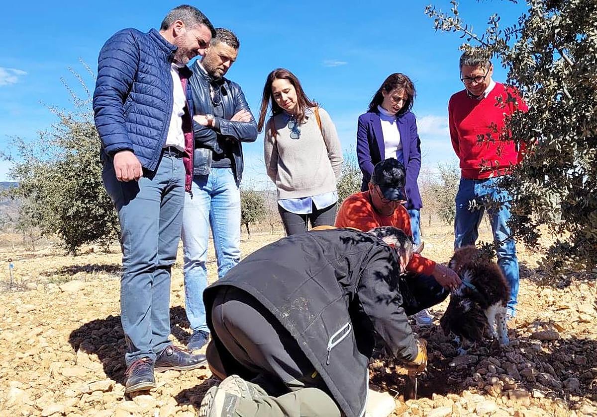 El consejero Antonio Luengo y el alcalde de Caravaca, José Francisco García, durante la visita a la finca experimental donde se cultiva la trufa negra.