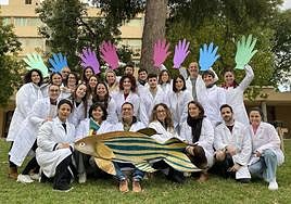 El grupo de investigación UMU-IMIB.