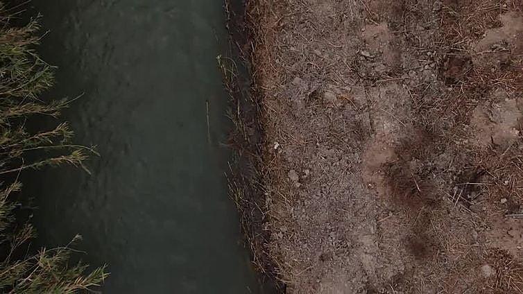 Tramo del río Segura donde se está plantando un bosque de ribera