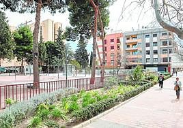 Estado actual de los jardines de la residencia Domingo Sastre tras la tala de ocho árboles.