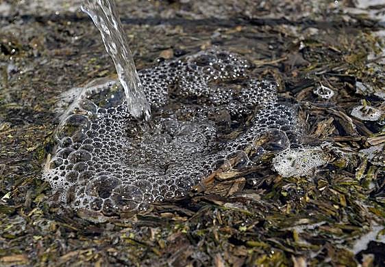Agua filtrada con con astillas de madera para eliminar nitratos en una imagen de archivo.