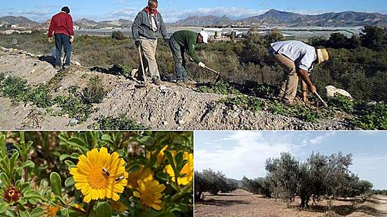 Vamos a poner barreras al campo