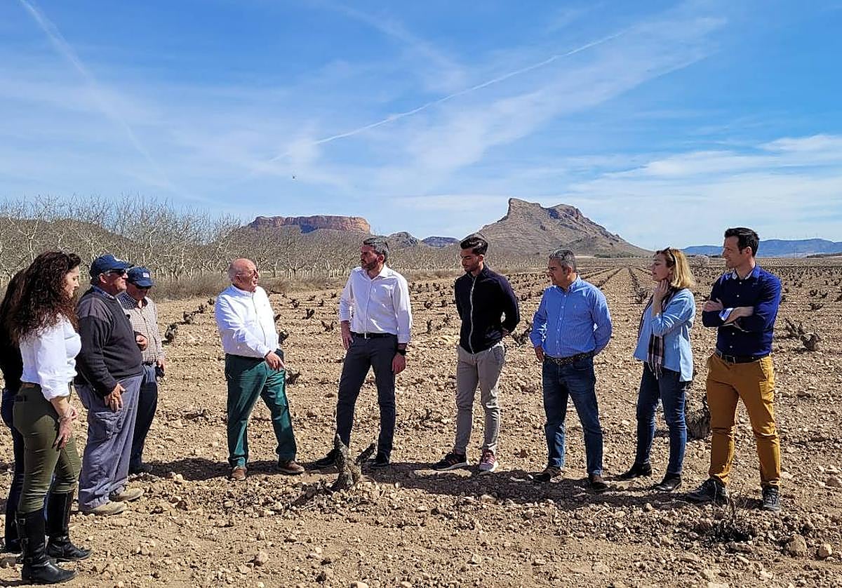 El consejero Antonio Luengo visita una finca jumillana de viñedo viejo donde anunció la nueva línea de ayudas.