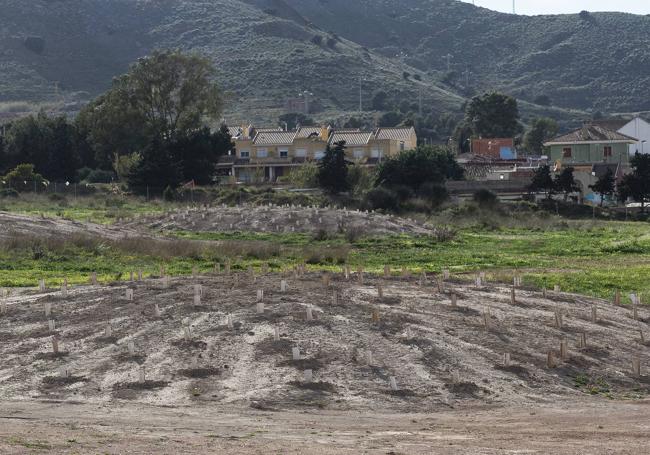 Plantación de la Comunidad en el solar de la antigua Balsa Jenny.