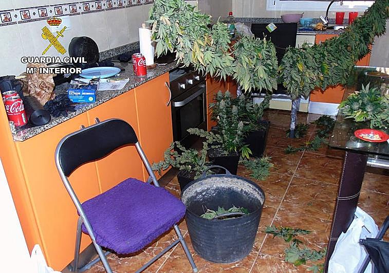 Una de las estancias destinadas al cultivo. | Vídeo: Interior de la vivienda.