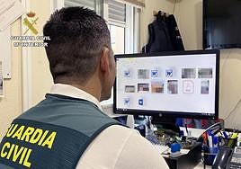 Un agente revisa documentos en un ordenador.