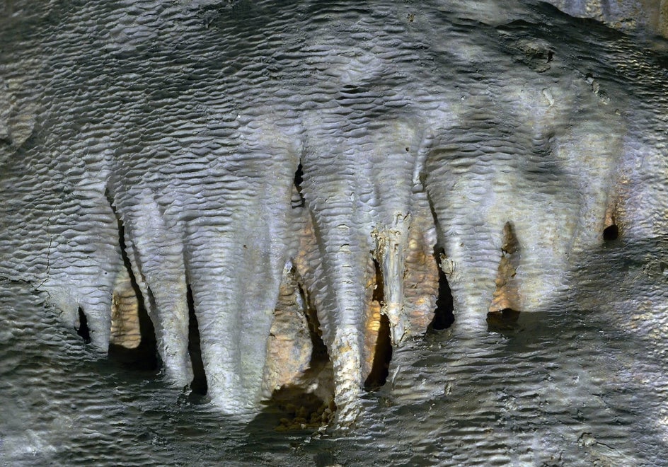 Uno de los espeleotemas de la Cueva del Puerto, que parecen trompas y patas de elefantes, cubiertas de microgour.