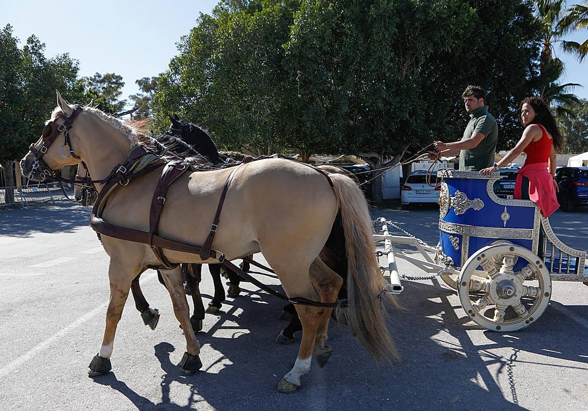 Más de 400 caballos preparados en Lorca para la carrera