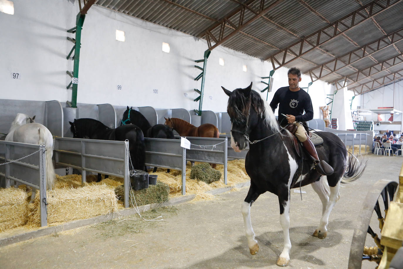 Más de 400 caballos preparados en Lorca para la carrera
