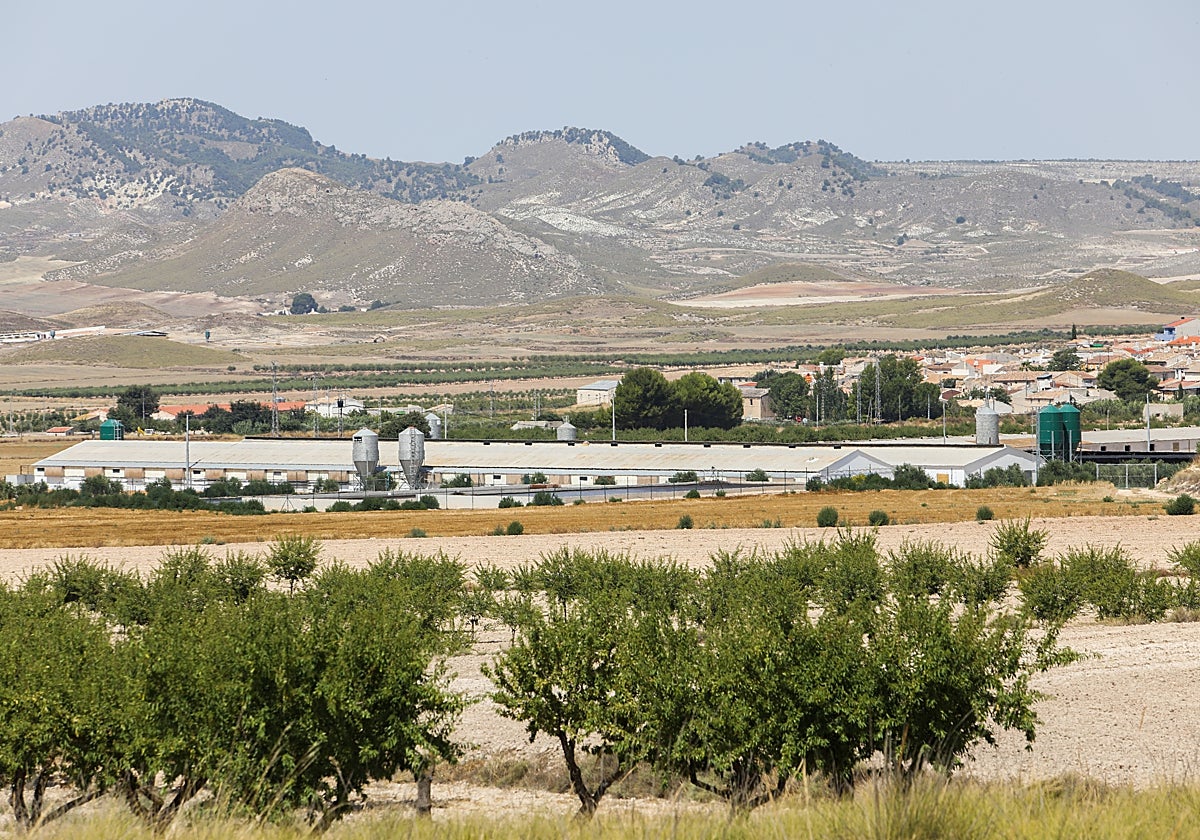 Granja porcina cerca de la población de Doña Inés.