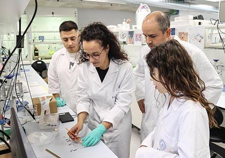 María Cuartero y Gastón Crespo, cofundadores de UCAM SENS, trabajan con su equipo de investigadores internacionales en los laboratorios de UCAM HiTech.