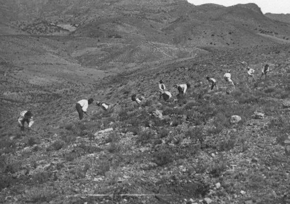 Imagen secundaria 1 - Arriba, imagen del río Espuña, en el siglo XIX. Abajo a la izquierda, una brigada realiza hoyos para la replantación. A la derecha, retrato de Ricardo Codorníu. 