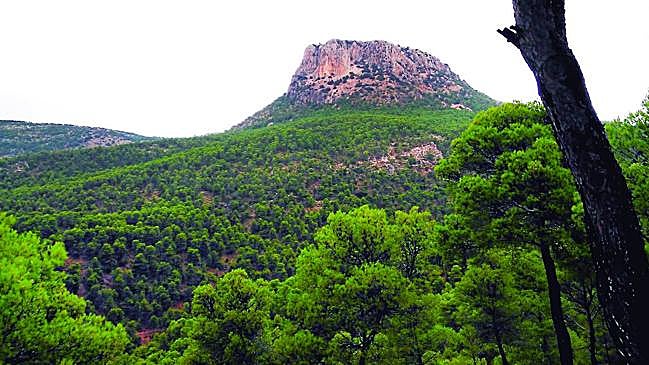 Imagen después - Ricardo Codorníu, un siglo por delante