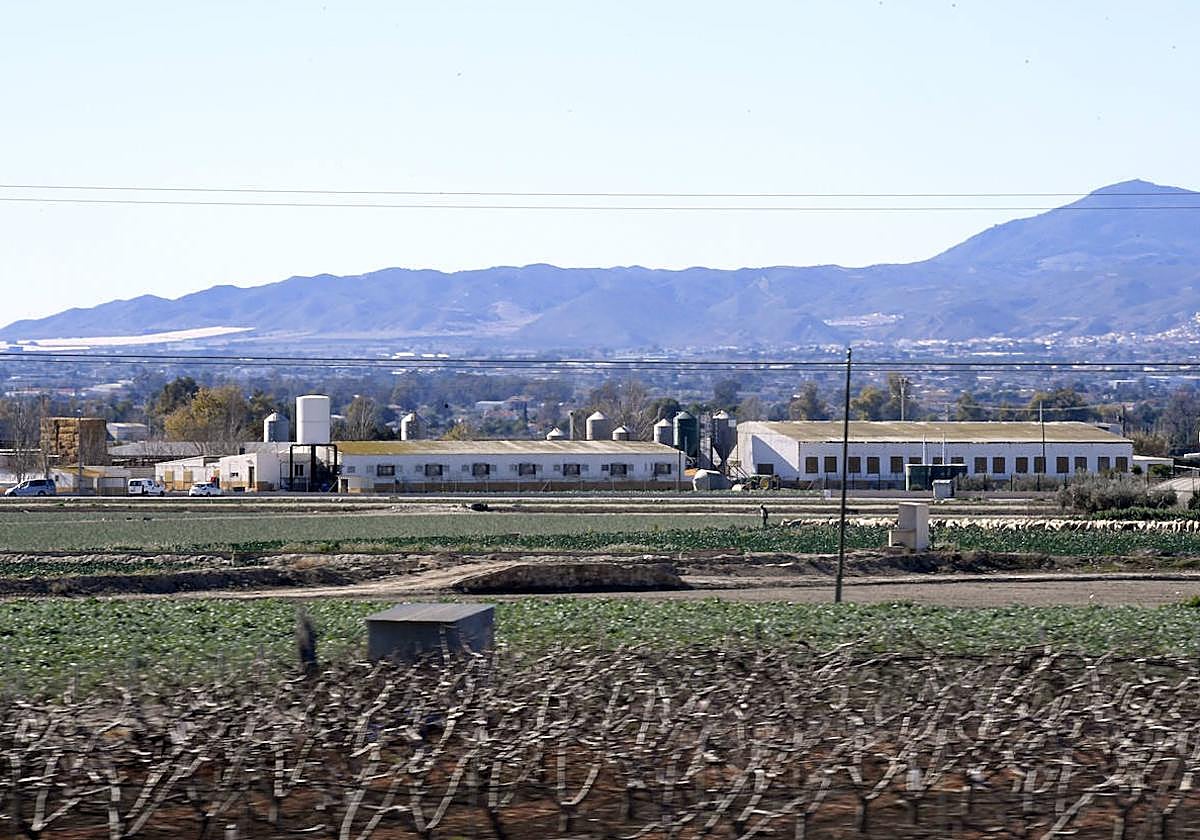 Terreno agrícola en Lorca, en una imagen de archivo.