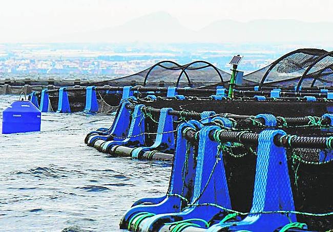 Granjas de acuicultura marinas.