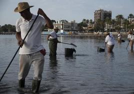 Retirada de algas en agosto del año pasado por parte del Gobierno regional, lo cual ayudó a frenar el deterioro de la laguna.