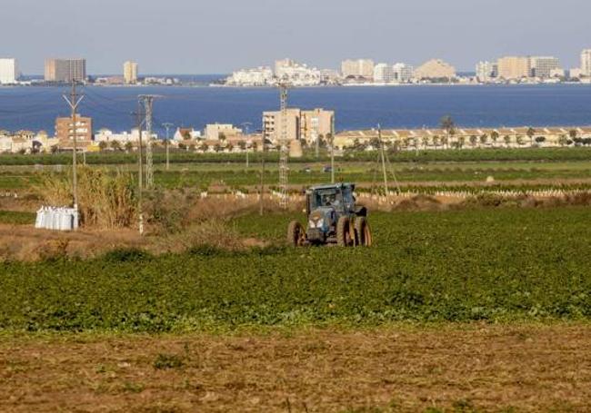 Explotación agrícola en el entorno de la laguna.