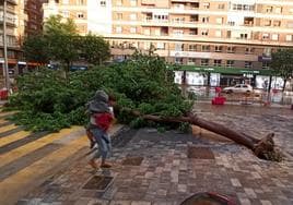 Una mujer, con un niño en brazos, pasa junto al árbol que la tormenta derribó en la avenida Primo de Rivera.