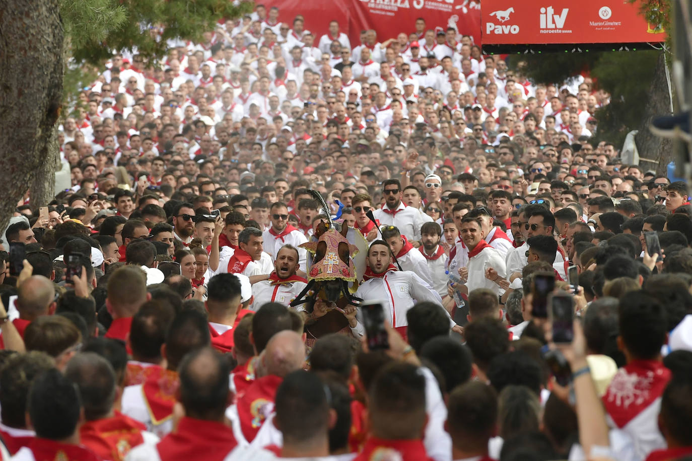La carrera de los Caballos del Vino de Caravaca de la Cruz 2023, en imágenes
