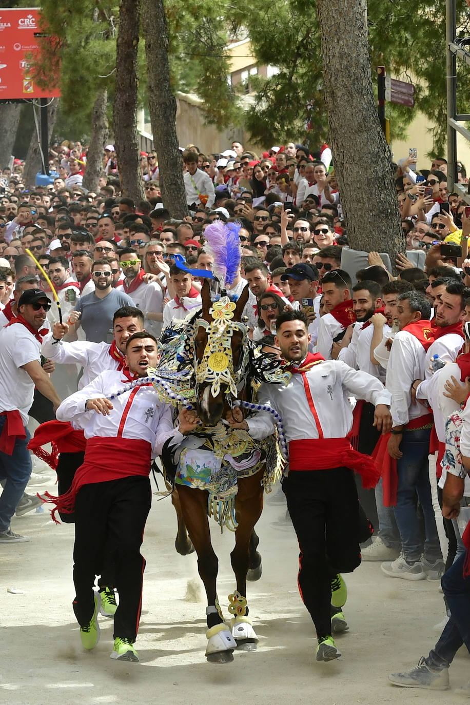 La carrera de los Caballos del Vino de Caravaca de la Cruz 2023, en imágenes