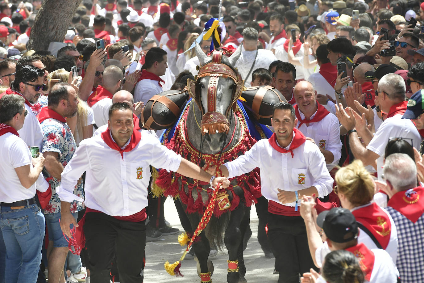 La carrera de los Caballos del Vino de Caravaca de la Cruz 2023, en imágenes