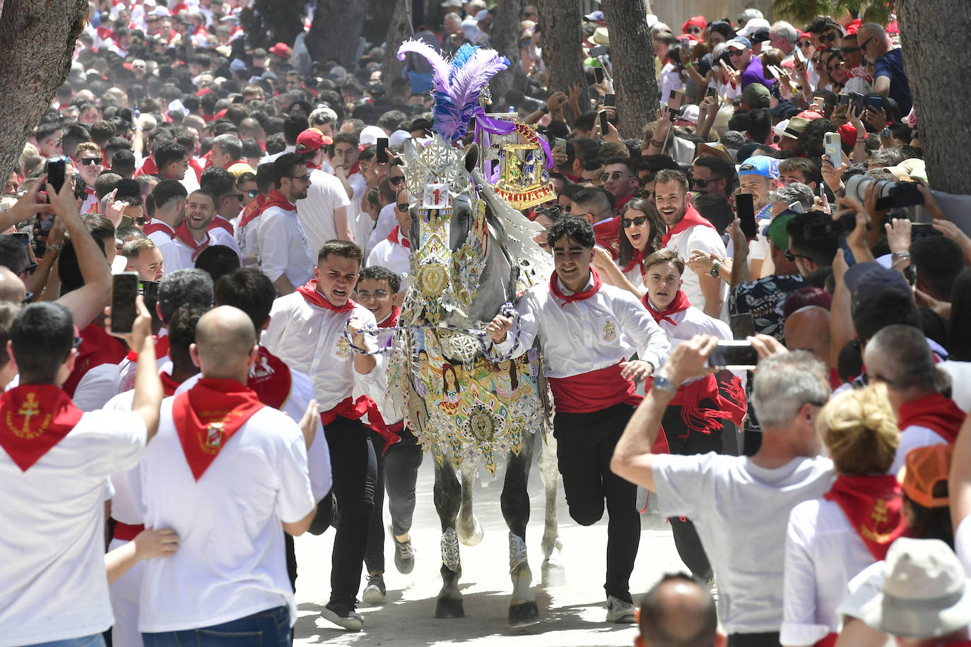 La carrera de los Caballos del Vino de Caravaca de la Cruz 2023, en imágenes