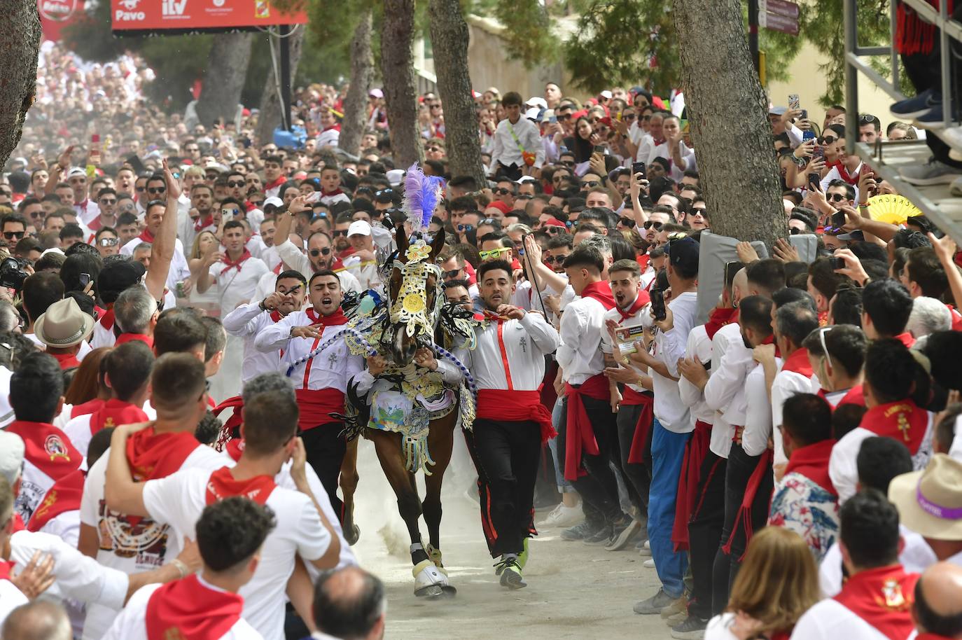 La carrera de los Caballos del Vino de Caravaca de la Cruz 2023, en imágenes
