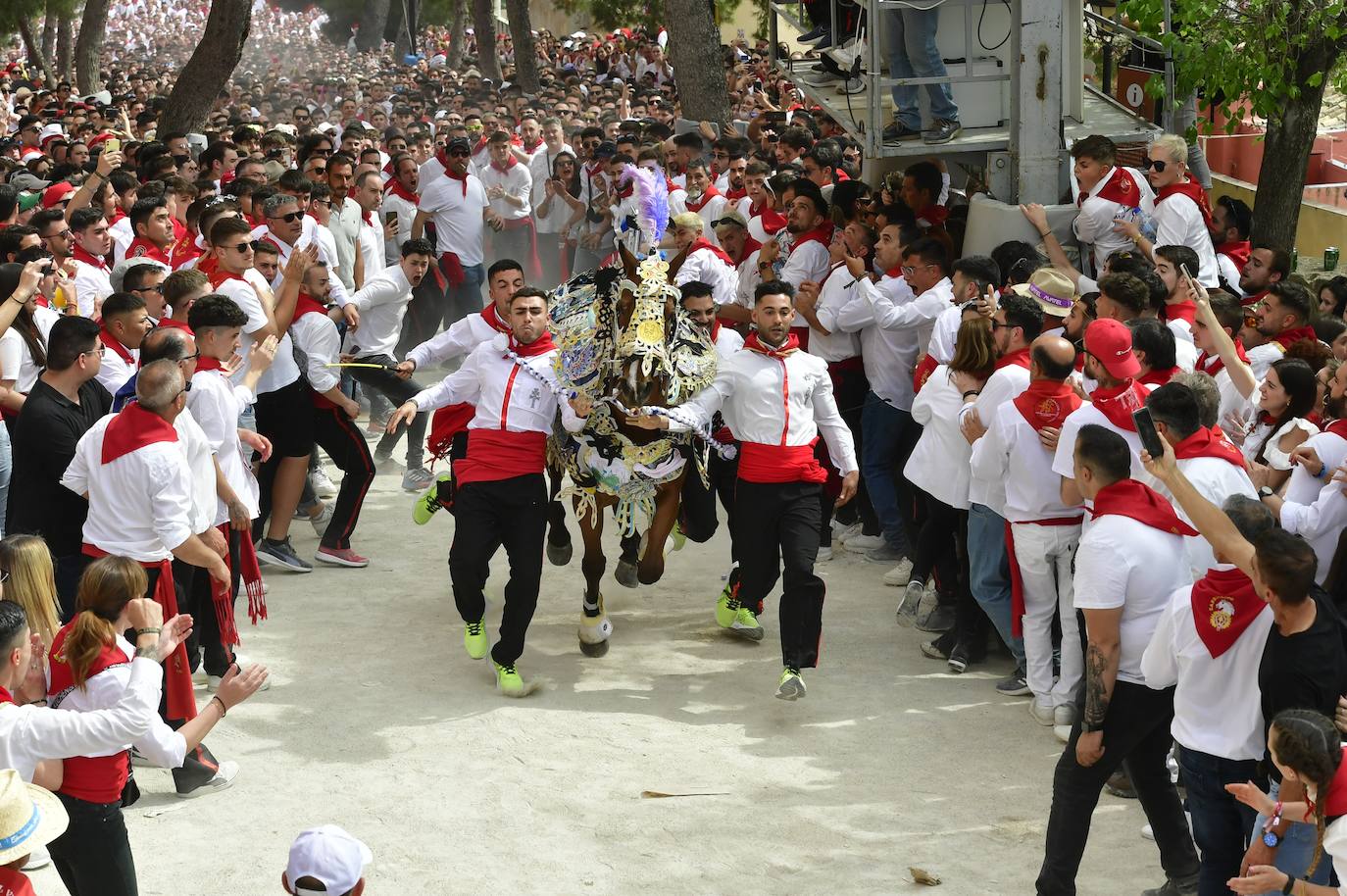 La carrera de los Caballos del Vino de Caravaca de la Cruz 2023, en imágenes