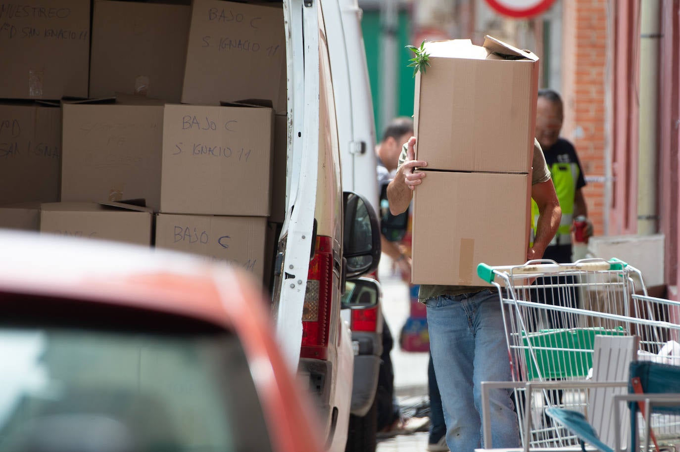 La redada en pisos de Espinardo destinados a producir &#039;maría&#039;, en imágenes