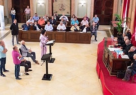 Uno de los asuntos que se trató este jueves en la sesión pública del Consejo de Hombre Buenos de Murcia.