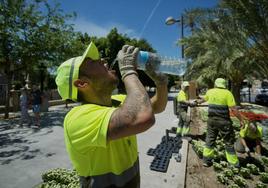 Un trabajador se hidrata durante su jornada laboral, el mes pasado.