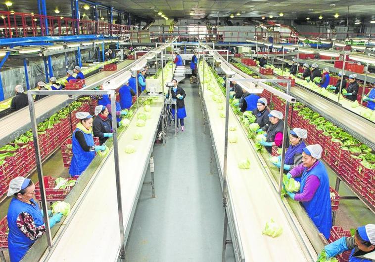 La desaceleración de la economía regional frena el crecimiento de las exportaciones