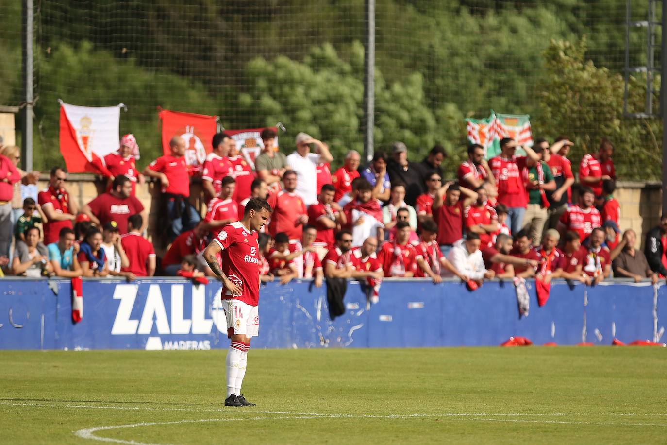 La derrota del Real Murcia frente al Amorebieta, en imágenes