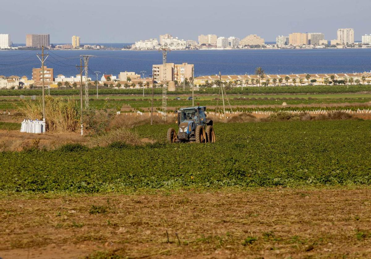 Imagen de archivo de cultivos en el Campo de Cartagena.