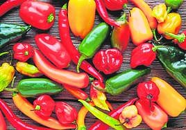 El pimiento sí importa