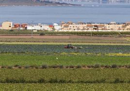 Terrenos de cultivo en el entorno del Mar Menor, en una imagen de archivo.