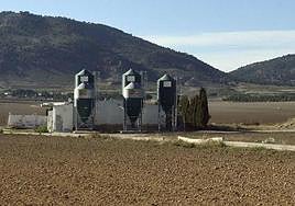 Imagen de archivo de una macrogranja en Lorca.