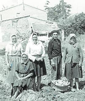 Imagen secundaria 2 - Arriba, Tomás García Martínez y María Luján Ortega, en su despacho, en la azotea de su casa de Guadalupe, erigido como un centro de investigación. Abajo, niñas y mujeres trabajando en el albaricoque en La Algaida (Archena) y mujeres recogiendo patatas en Llano de Brujas (Murcia).