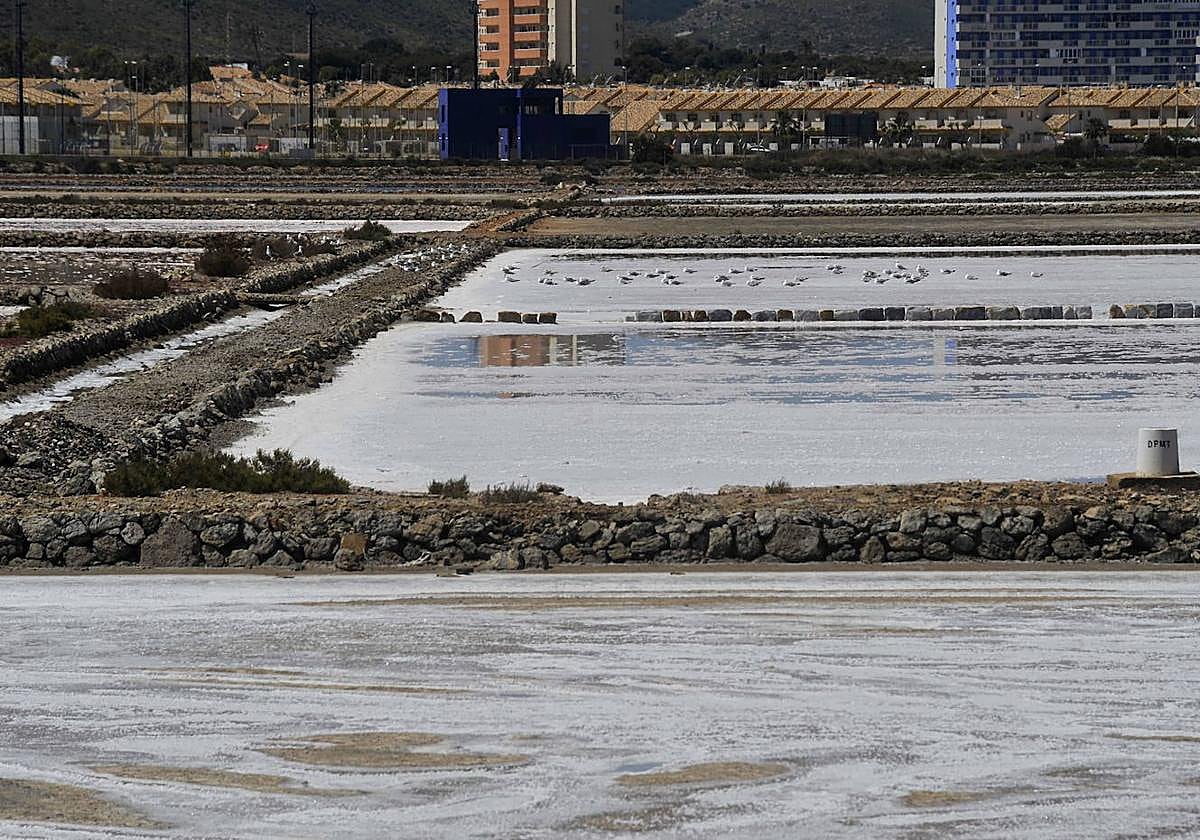 Imagen de archivo de las Salinas de Marchamalo.