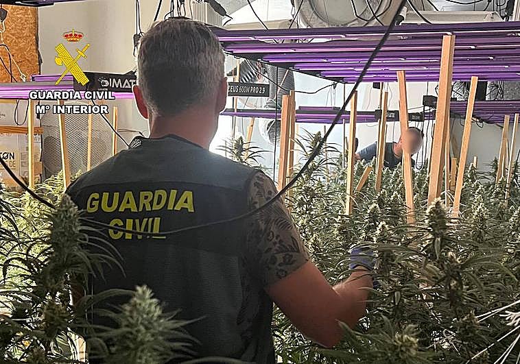El interior de una de las viviendas que eran utilizadas como invernadero de marihuana.