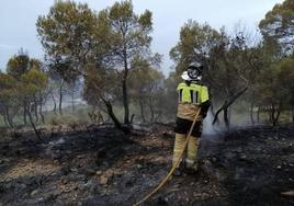 Labores de extinción en uno de los incendios provocados en Cehegín.